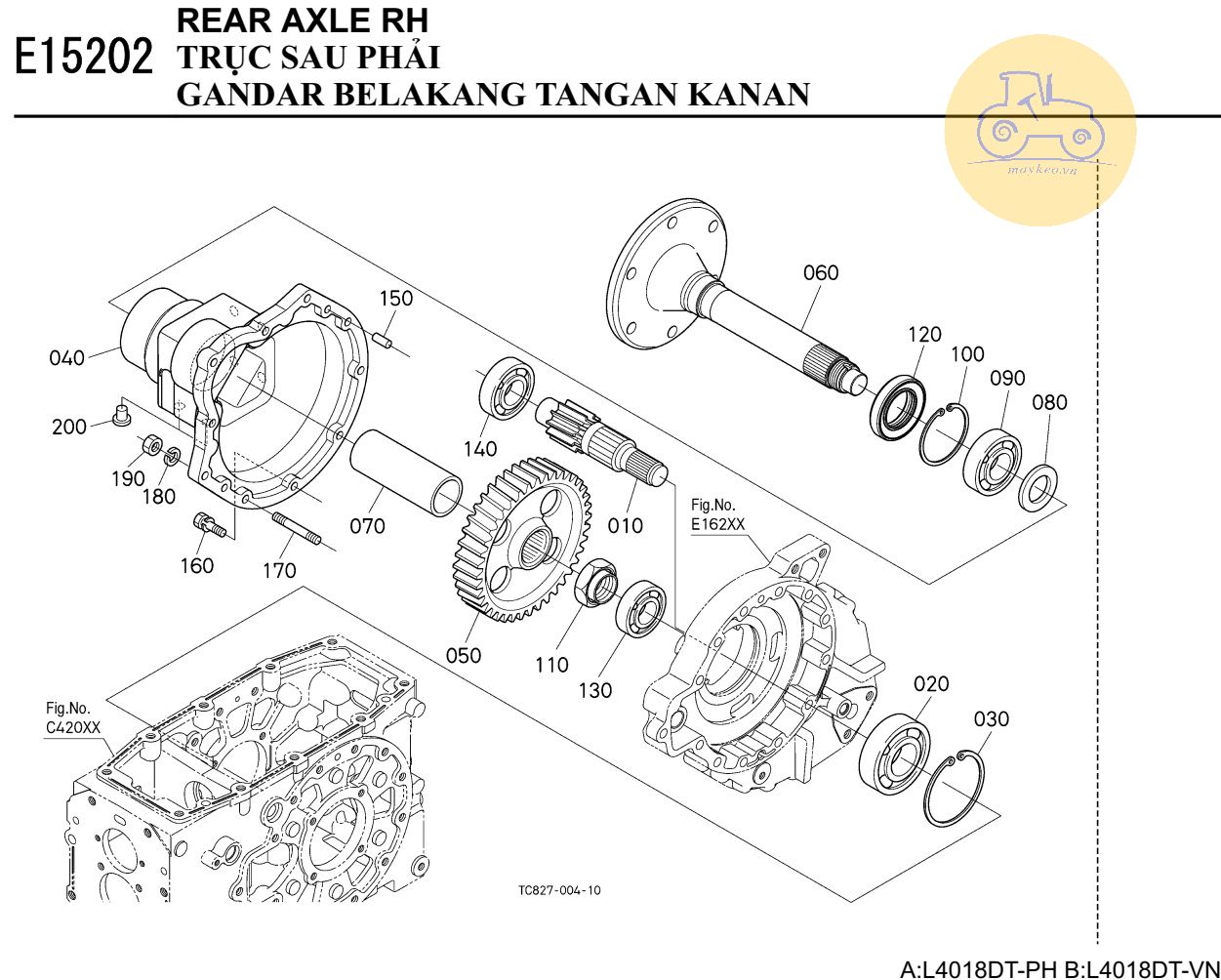 Trục sau phải